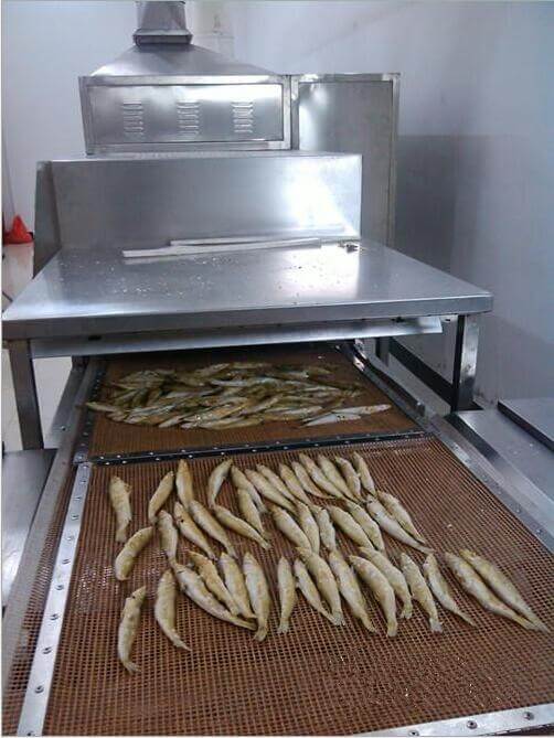 drying fish with microwave dryer machine