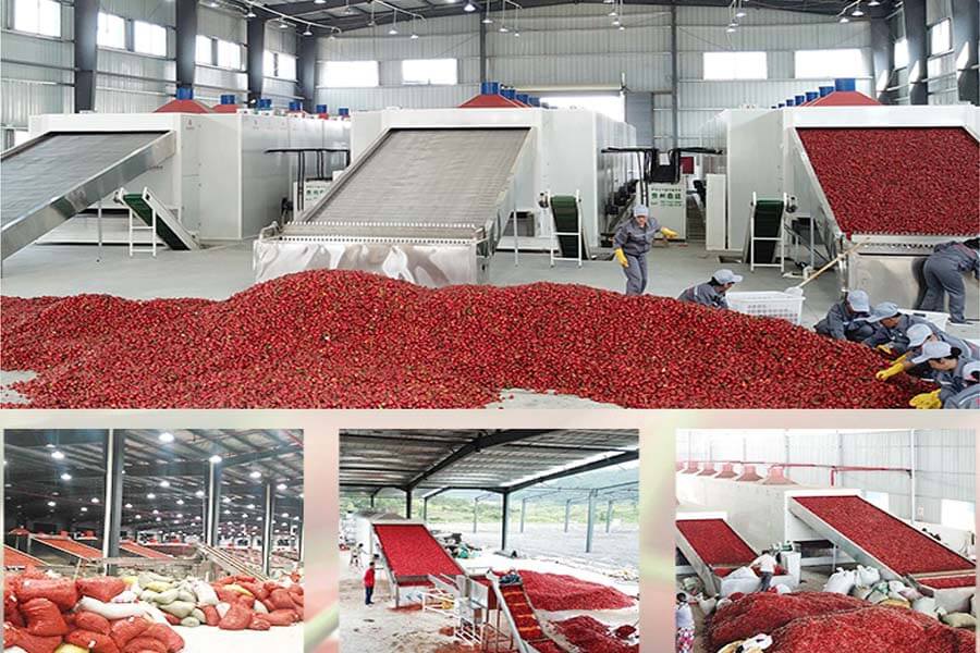 How to Dry Meat in The Oven-Henan Baixin Machinery